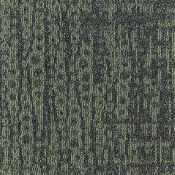 MEZZO GRADIENT_659