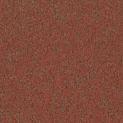 MOSS_306