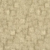 TRACE-238