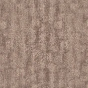 TRACE-344