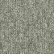 TRACE-697