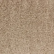 Wykładzina dywanowa w rolce Dura Living Charisma 105 Ginger