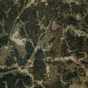 Wykładzina dywanowa w rolce Dura Living Bonita 154 Swedish Green