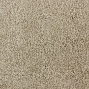 Wykładzina dywanowa w rolce Dura Living Charisma 222 Quinoa