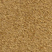 Wykładzina dywanowa w rolce Dura Living Balance 553 GOld