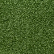 Wykładzina dywanowa w rolce Dura Living Charisma 854 Green