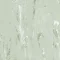 1007