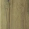 4101 Everglade Oak 4101