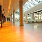 Panele winylowe LVT Expona Commercial Wood PuR