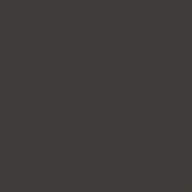 Charcoal Mono 2581