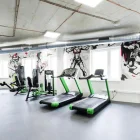 Miniatura Płytki techniczne Fortelock Płytki XL | Wężowa skóra