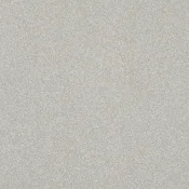 Wykładzina elastyczna PCV Gerflor Tarasafe H2O 0024 Peyto