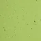 0030 APPLE GREEN