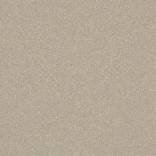 Wykładzina elastyczna PCV Gerflor Tarasafe H2O 0031 Eacham