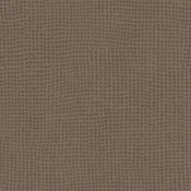 0049 DIVERSION CARBONE