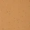 0075 APRICOT