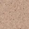 0329 HAZELNUT