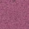 0331 PLUM