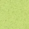 0338 KIWI