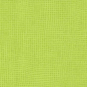 0515 DIVERSION KIWI