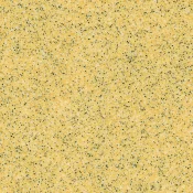 0621 PIXEL VANILLA
