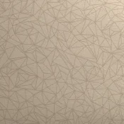 0957 SPIDER CUIVRE