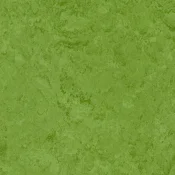 Wykładzina linoleum Gerflor DLW LINODUR SPORT 1011 AVOCADO GREEN