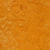 Wykładzina linoleum Gerflor DLW LINODUR SPORT 1072 PEACH ORANGE