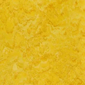 Wykładzina linoleum Gerflor DLW LINODUR SPORT 1074 STRAW YELLOW