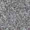 1089 DALMA BURGUNDY