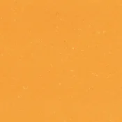 1171 SUNRISE ORANGE