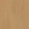 1492 OAK GOLDEN