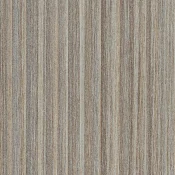 2241 COCOON SILVER BROWN