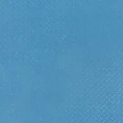 2249 BROOKLYN BLUE