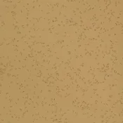 4039 PAN