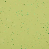 5427 GREEN ZEST