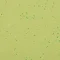 5427 GREEN ZEST