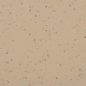 5428 SHEDDED GROUND