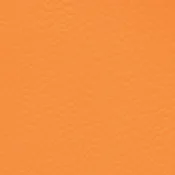 6160 NARANJA