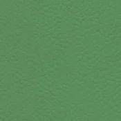 6556 VERDE