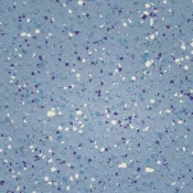 7413 OCEAN BLUE