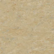 Wykładzina linoleum Tarkett LinoRail HL3 616