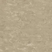 Wykładzina linoleum Tarkett LinoRail HL3 625