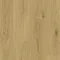 Country Oak HONEY
