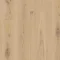 Delicate Oak ALMOND