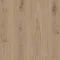 Delicate Oak CHESNUT