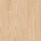 Douglas Pine - Creme