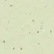 Eclipse Premium Spectra PASTEL OLIVE 0077