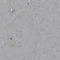 Eclipse Premium Spectra SOFT STEEL GREY 0064