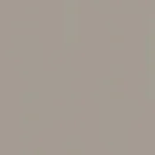 Wykładzina linoleum Tarkett Etrusco xf²™ Bfl 2,5 mm Etrusco SHARK 004
